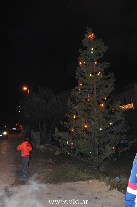 Badnjak (24)